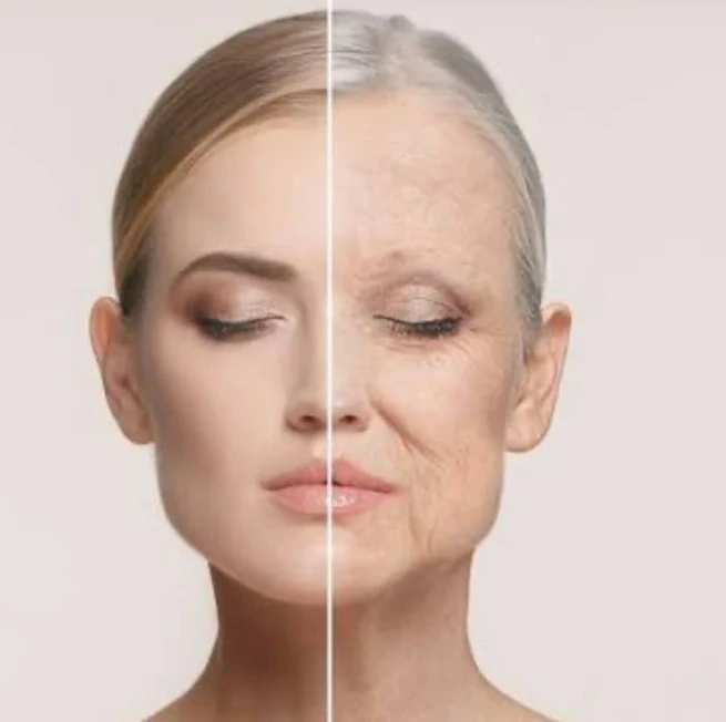 Terapia manualna twarzy - wersja mobilna